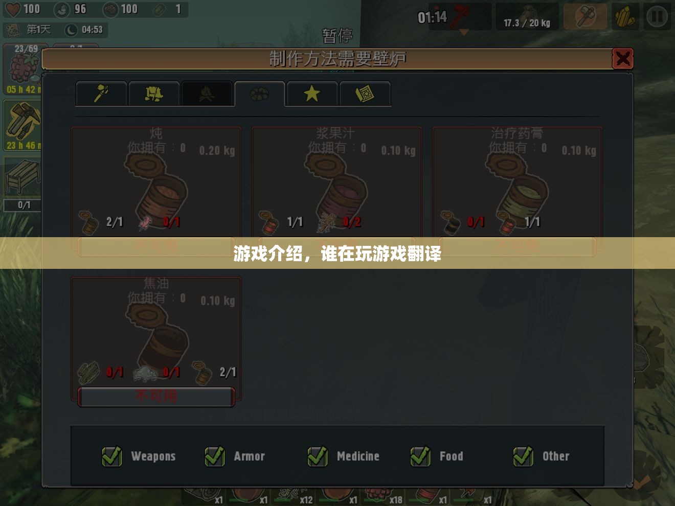 游戲介紹，誰在玩游戲的翻譯之旅
