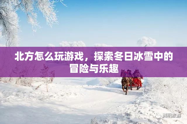 冬日冰雪冒險，北方游戲探索之旅