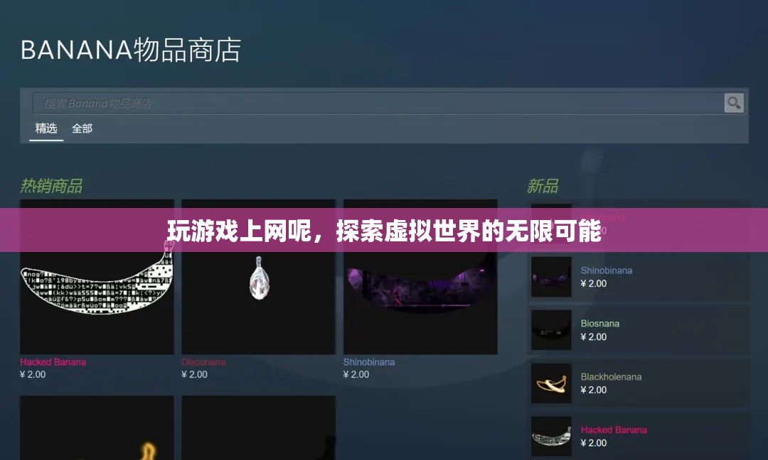 探索虛擬世界的無(wú)限可能，玩游戲上網(wǎng)的奇妙之旅