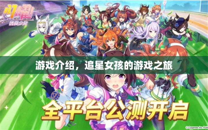 追星女孩的游戲之旅，探索虛擬世界的娛樂盛宴