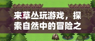 草叢中的冒險(xiǎn)之旅，探索自然中的游戲與驚喜