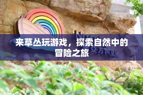 草叢中的冒險(xiǎn)之旅，探索自然中的游戲與驚喜