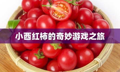 小西紅柿的奇妙冒險(xiǎn)之旅