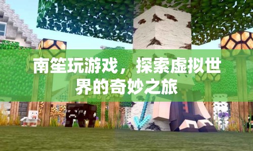 南笙的虛擬世界之旅，探索游戲世界的奇妙與奧秘