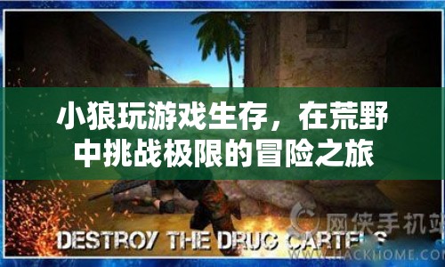 小狼荒野冒險，挑戰(zhàn)極限的生存游戲之旅
