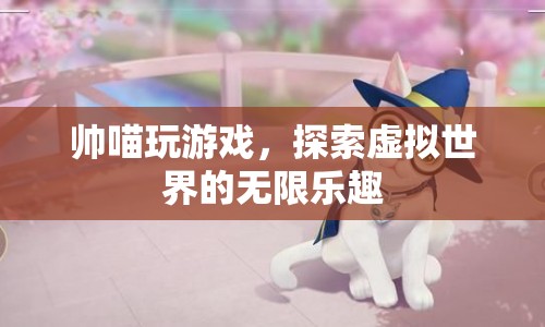探索虛擬世界的無限樂趣，帥喵的游戲之旅