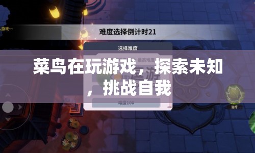 菜鳥的冒險(xiǎn)之旅，探索未知，挑戰(zhàn)自我
