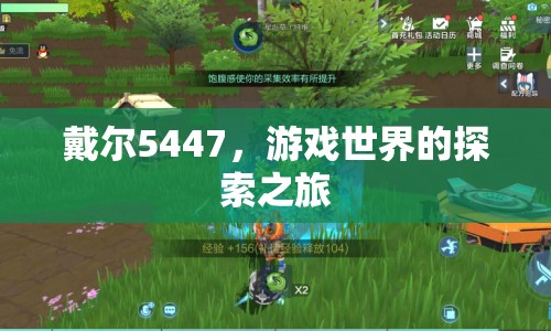 戴爾5447，游戲世界的探索之旅