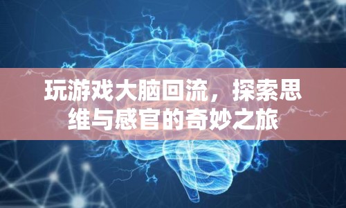 探索思維與感官的奇妙之旅，游戲大腦回流