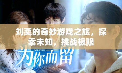 劉奕的奇妙冒險(xiǎn)，探索未知，挑戰(zhàn)極限