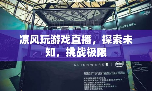 涼風(fēng)探索未知，挑戰(zhàn)極限，精彩游戲直播等你來看！