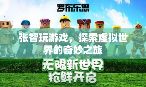 張智，探索虛擬世界的奇妙之旅