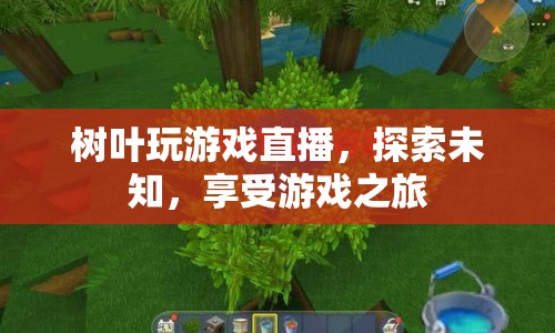 樹葉探索未知，游戲之旅盡享歡樂