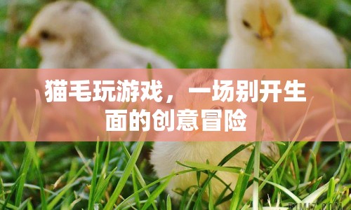 貓毛創(chuàng)意游戲，一場(chǎng)別開(kāi)生面的冒險(xiǎn)之旅