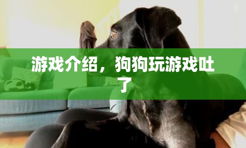 狗狗玩游戲吐了的趣味挑戰(zhàn)，游戲介紹