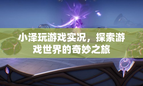 小澤游戲探索之旅，暢游奇妙的游戲世界