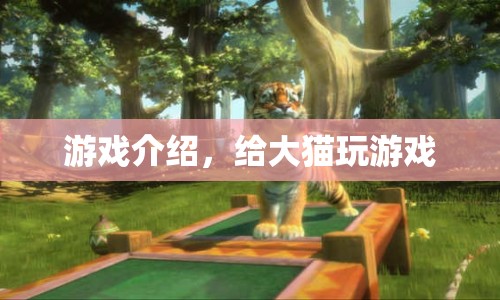 大貓的游戲世界，探索未知，挑戰(zhàn)自我