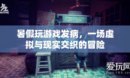 暑假游戲病，虛擬與現(xiàn)實的冒險之旅