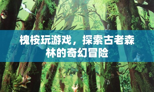 探索古老森林，槐桉的奇幻冒險(xiǎn)之旅