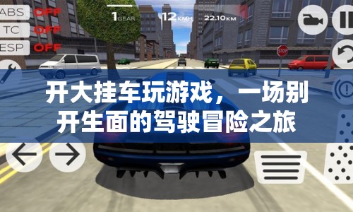 大掛車游戲駕駛冒險之旅