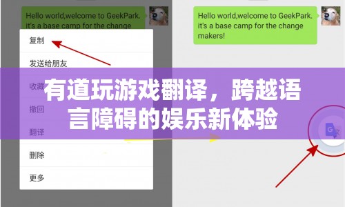 跨越語言障礙的娛樂新體驗，有道玩游戲翻譯