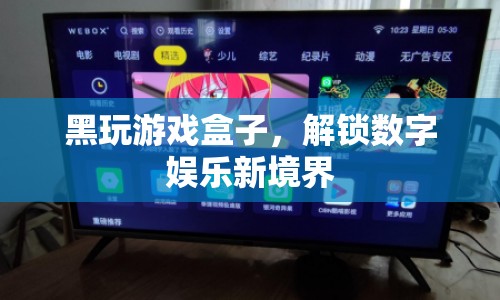 黑玩游戲盒子，解鎖數(shù)字娛樂新境界