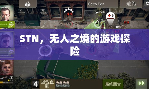 STN，無(wú)人之境的游戲探險(xiǎn)之旅