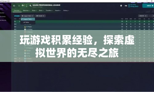 探索虛擬世界的無盡之旅，游戲經(jīng)驗積累與冒險