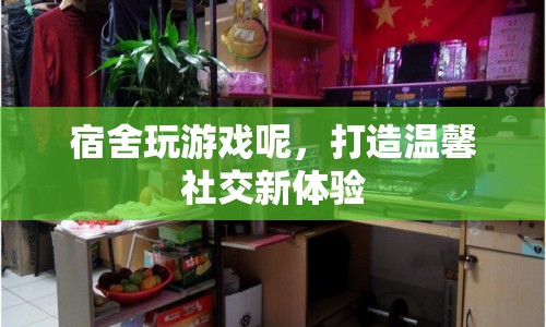 宿舍玩游戲，打造溫馨社交新體驗(yàn)
