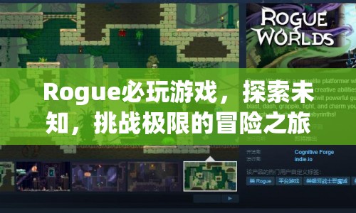 Rogue，探索未知，挑戰(zhàn)極限的冒險之旅