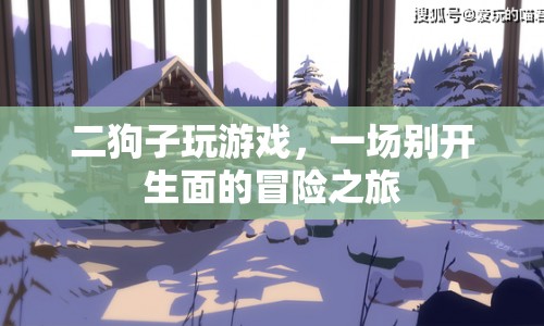 二狗子的冒險(xiǎn)之旅，一場(chǎng)別開生面的游戲盛宴