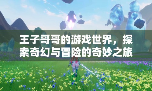 王子哥哥的游戲世界，奇幻冒險(xiǎn)之旅