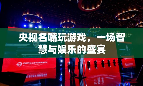 央視名嘴游戲盛宴，智慧與娛樂(lè)的碰撞