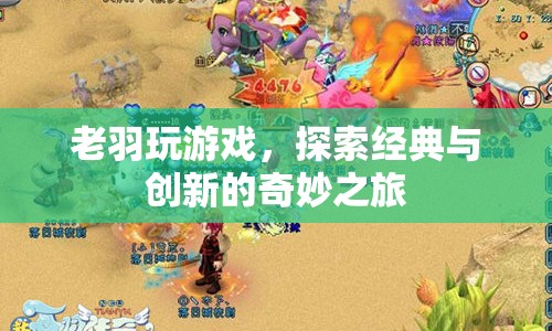 老羽玩游戲，經(jīng)典與創(chuàng)新的奇妙之旅