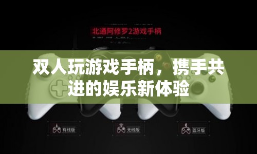 雙人攜手共進(jìn)的娛樂(lè)新體驗(yàn)，游戲手柄開(kāi)啟全新游戲體驗(yàn)
