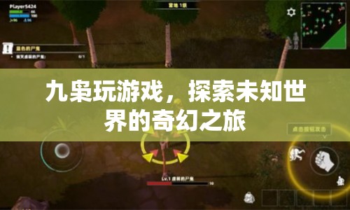 九梟的奇幻游戲之旅，探索未知世界的冒險