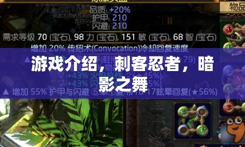 刺客忍者，暗影之舞游戲介紹
