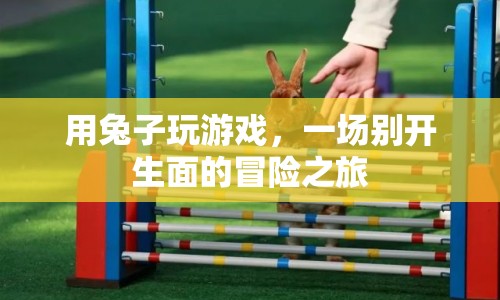 兔子冒險，一場別開生面的游戲之旅