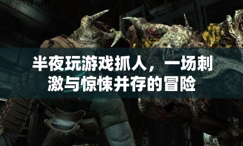 半夜游戲，驚悚與刺激并存的冒險之旅