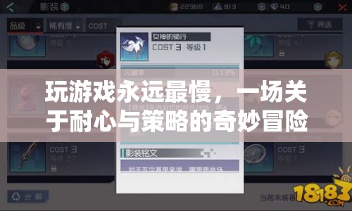 一場關于耐心與策略的奇妙冒險