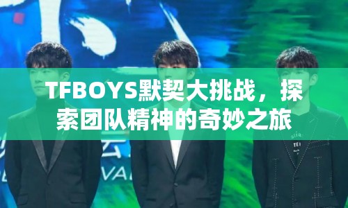 TFBOYS默契大挑戰(zhàn)，探索團(tuán)隊(duì)精神之旅