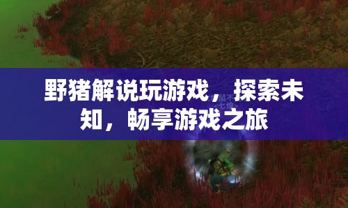 野豬解說，探索未知，暢享游戲之旅