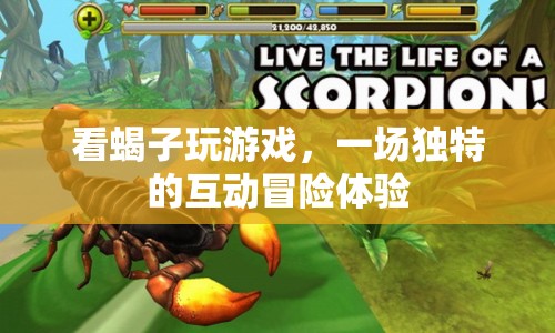 一場獨(dú)特的互動冒險(xiǎn)體驗(yàn)，看蝎子玩游戲