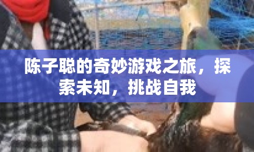 陳子聰?shù)钠婷钣螒蛑?，探索未知，挑?zhàn)自我