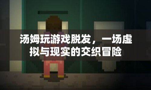 湯姆的虛擬冒險(xiǎn)，游戲與現(xiàn)實(shí)的交織，引發(fā)脫發(fā)危機(jī)