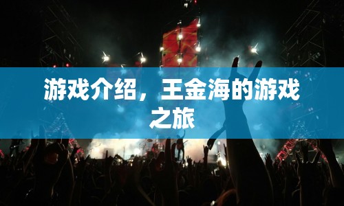 王金海的游戲之旅，探索未知，挑戰(zhàn)自我