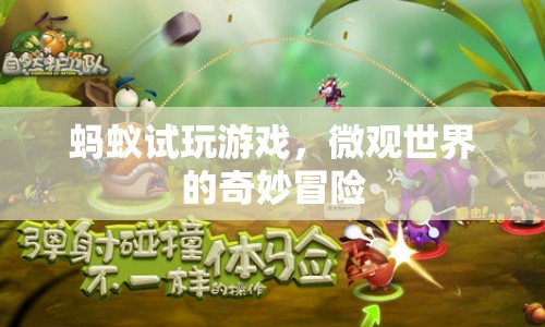 螞蟻試玩游戲，微觀世界的奇妙冒險
