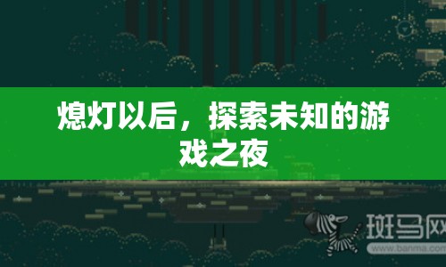 熄燈以后，探索未知的游戲之夜