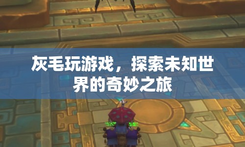 灰毛的游戲探索之旅，揭秘未知世界的奇妙?yuàn)W秘