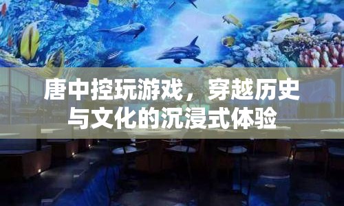 唐中控，穿越歷史與文化的沉浸式游戲體驗(yàn)